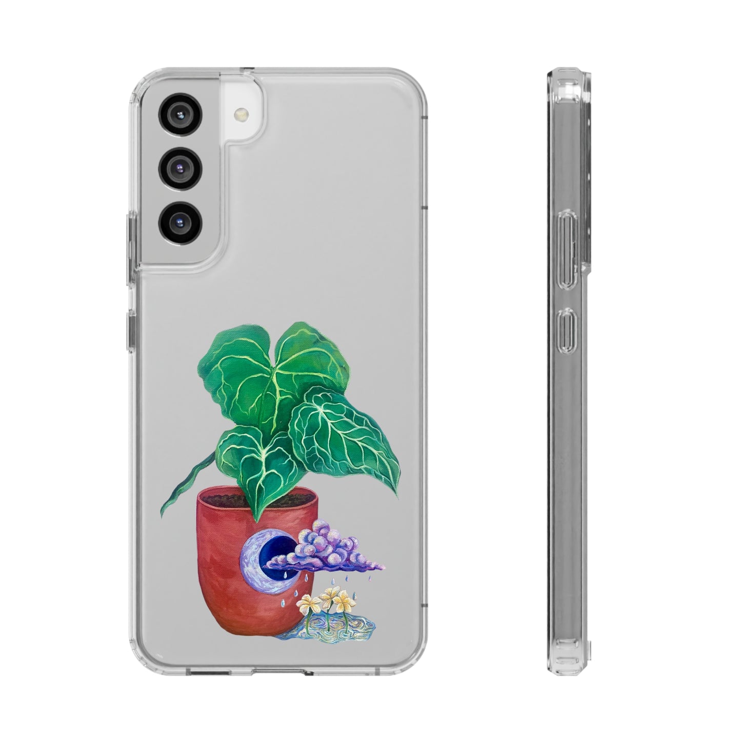 "Regresare a mi Tierra" Clear Cases