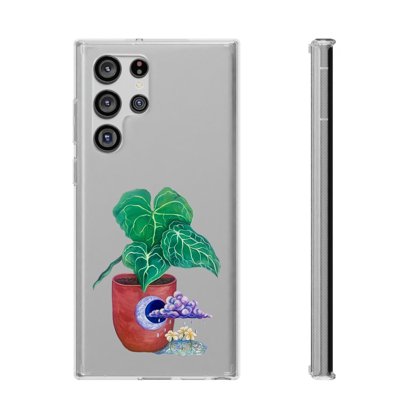 "Regresare a mi Tierra" Clear Cases