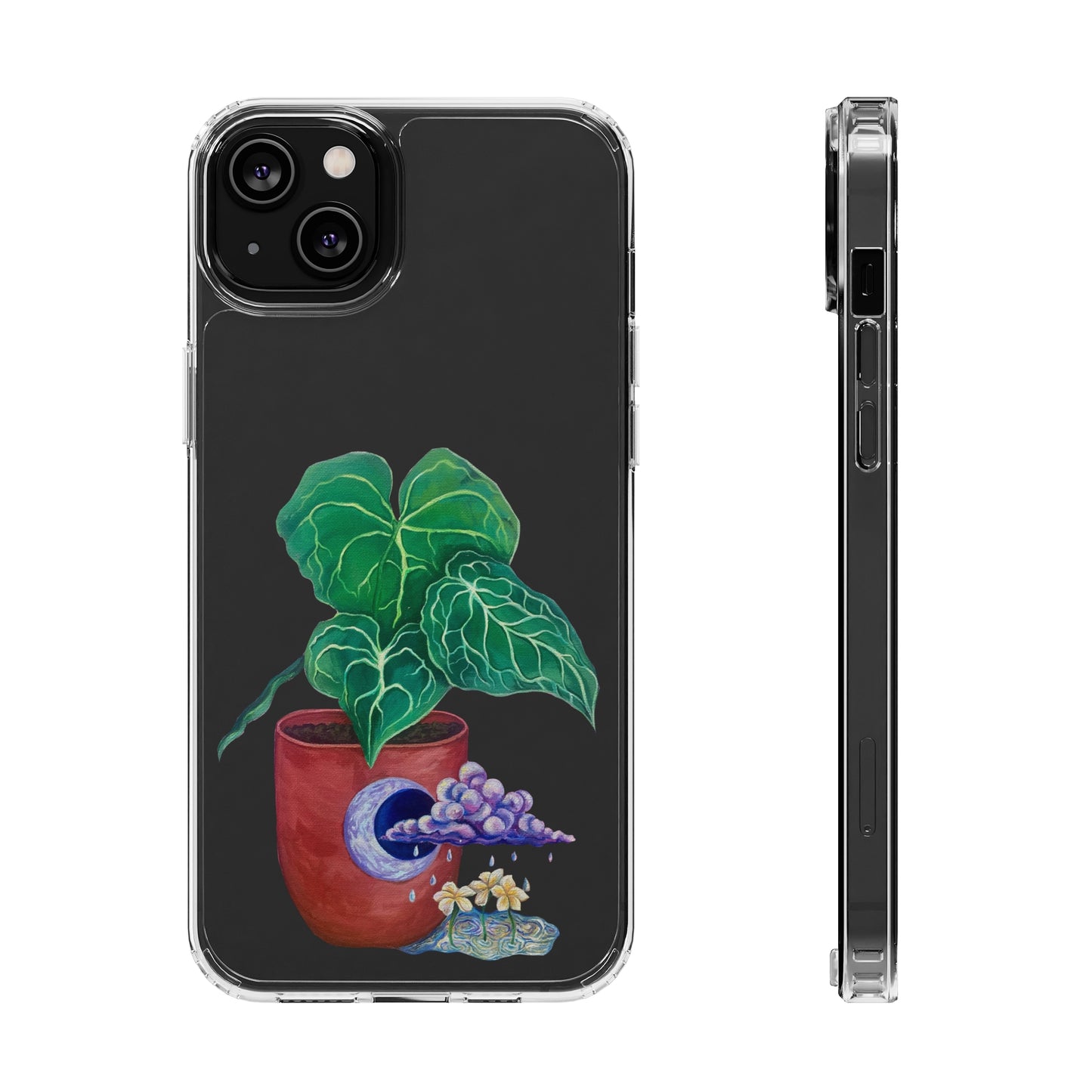 "Regresare a mi Tierra" Clear Cases