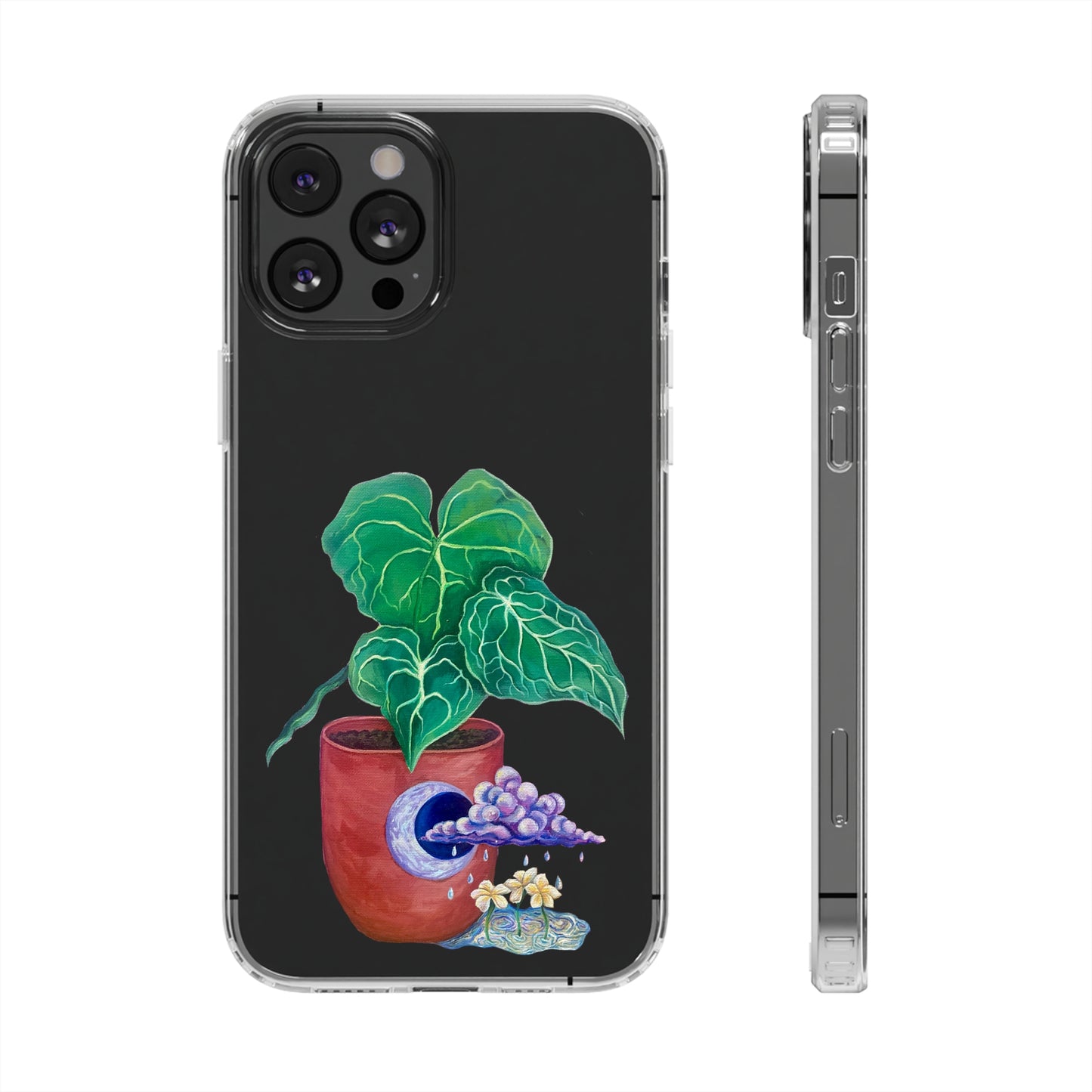 "Regresare a mi Tierra" Clear Cases