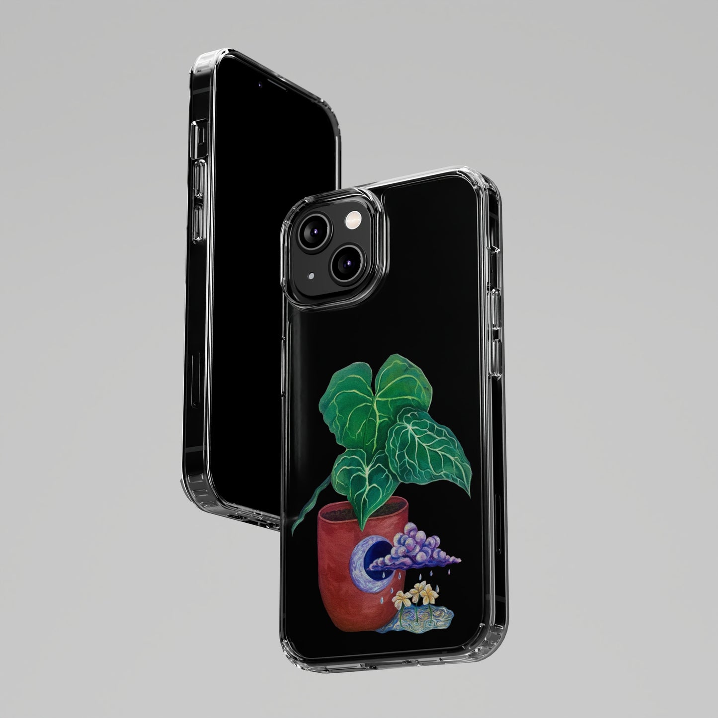 "Regresare a mi Tierra" Clear Cases