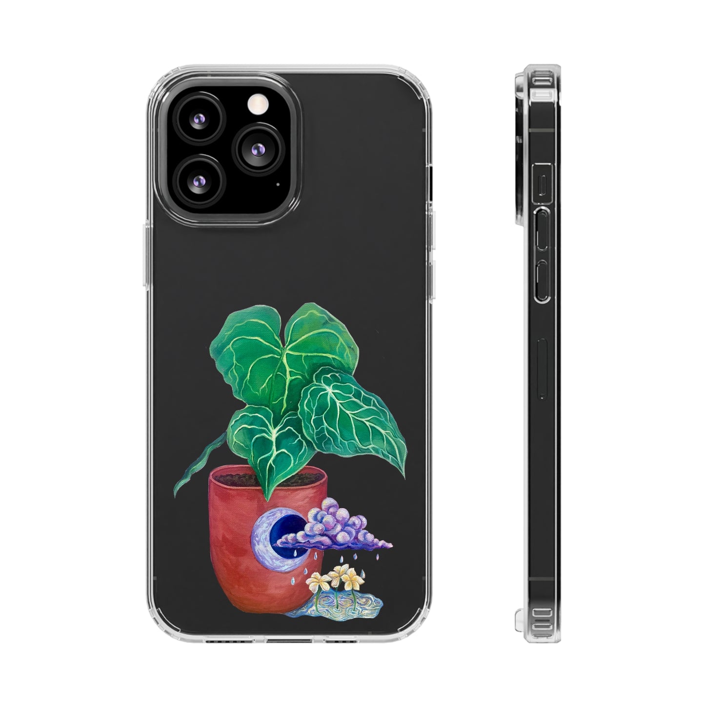 "Regresare a mi Tierra" Clear Cases