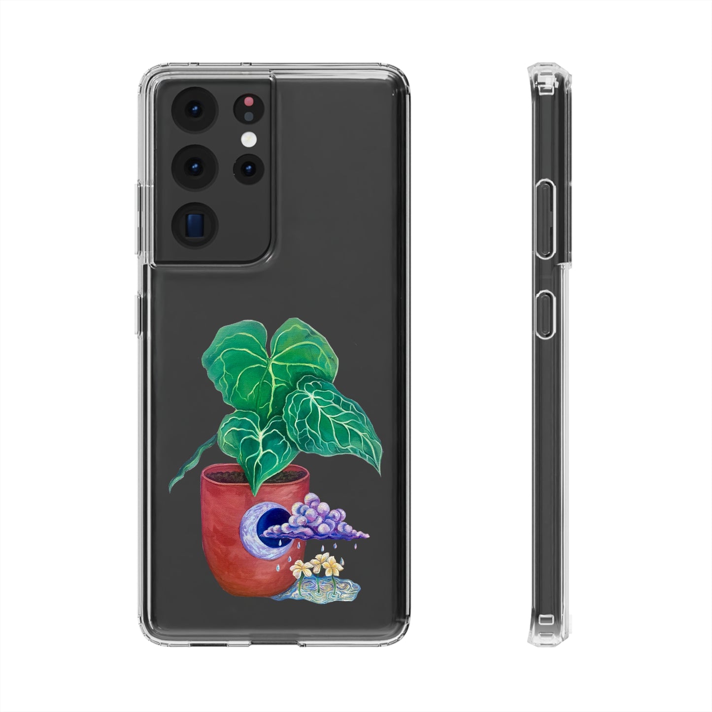 "Regresare a mi Tierra" Clear Cases