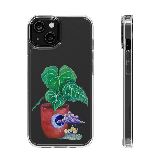 "Regresare a mi Tierra" Clear Cases