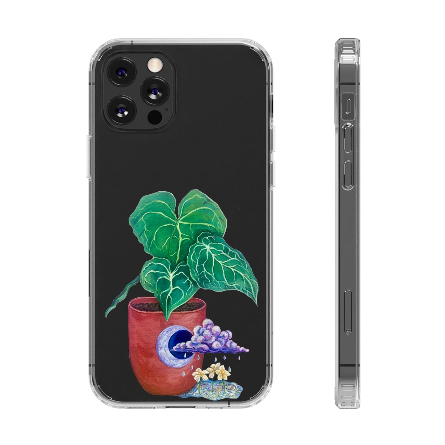 "Regresare a mi Tierra" Clear Cases