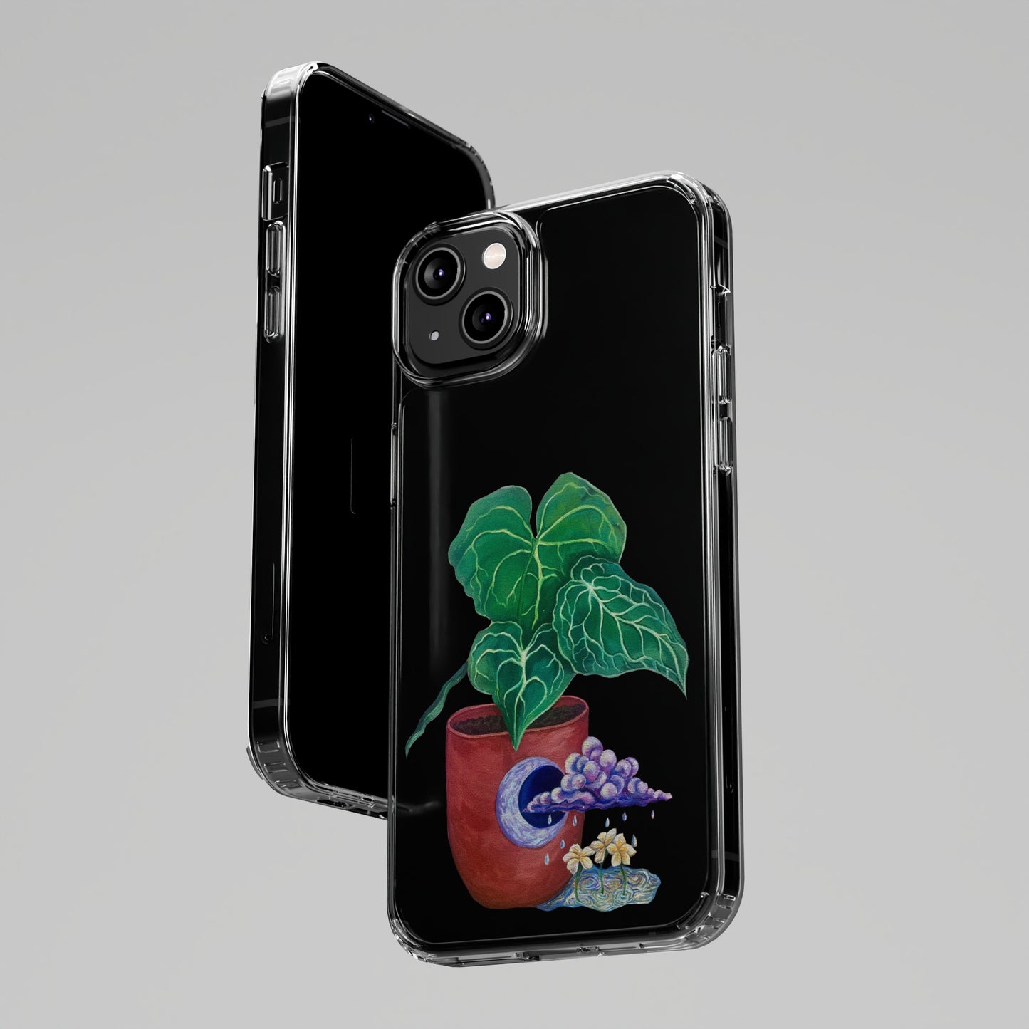 "Regresare a mi Tierra" Clear Cases