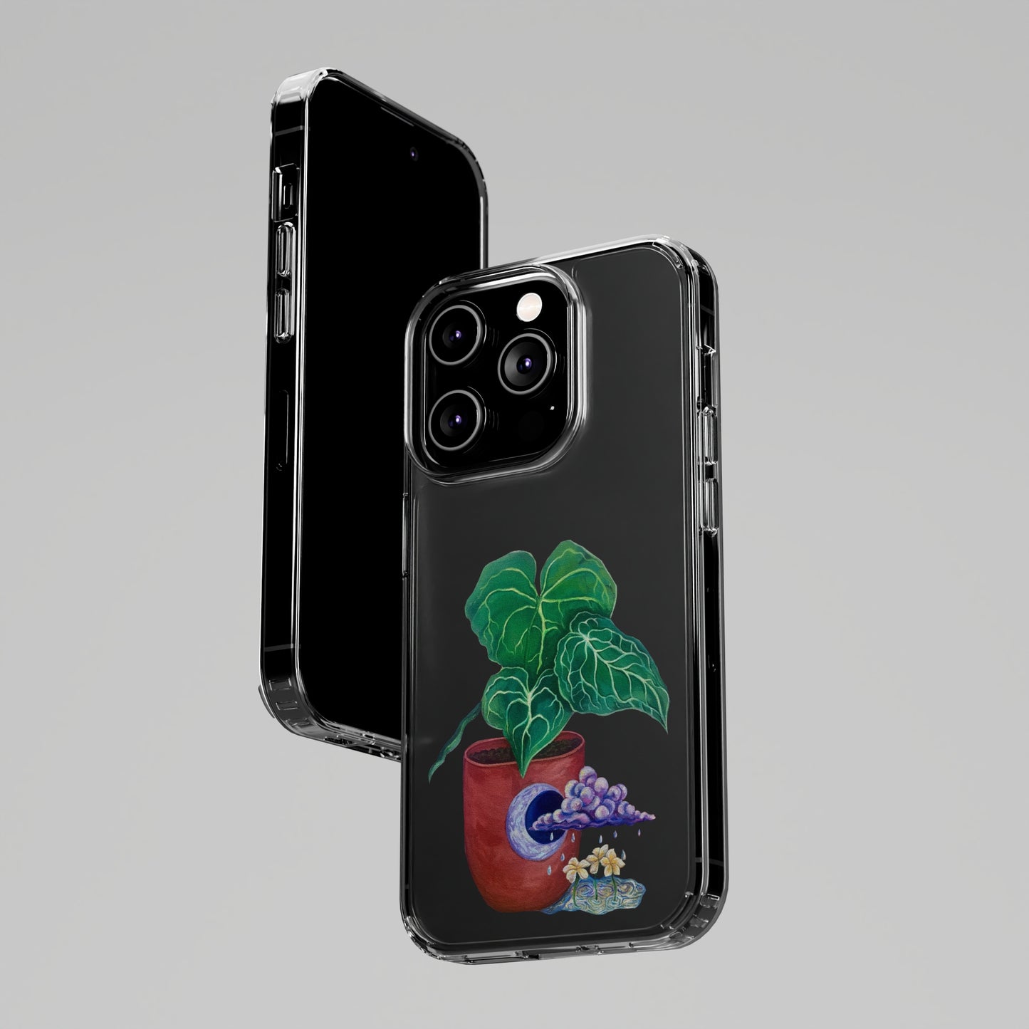 "Regresare a mi Tierra" Clear Cases