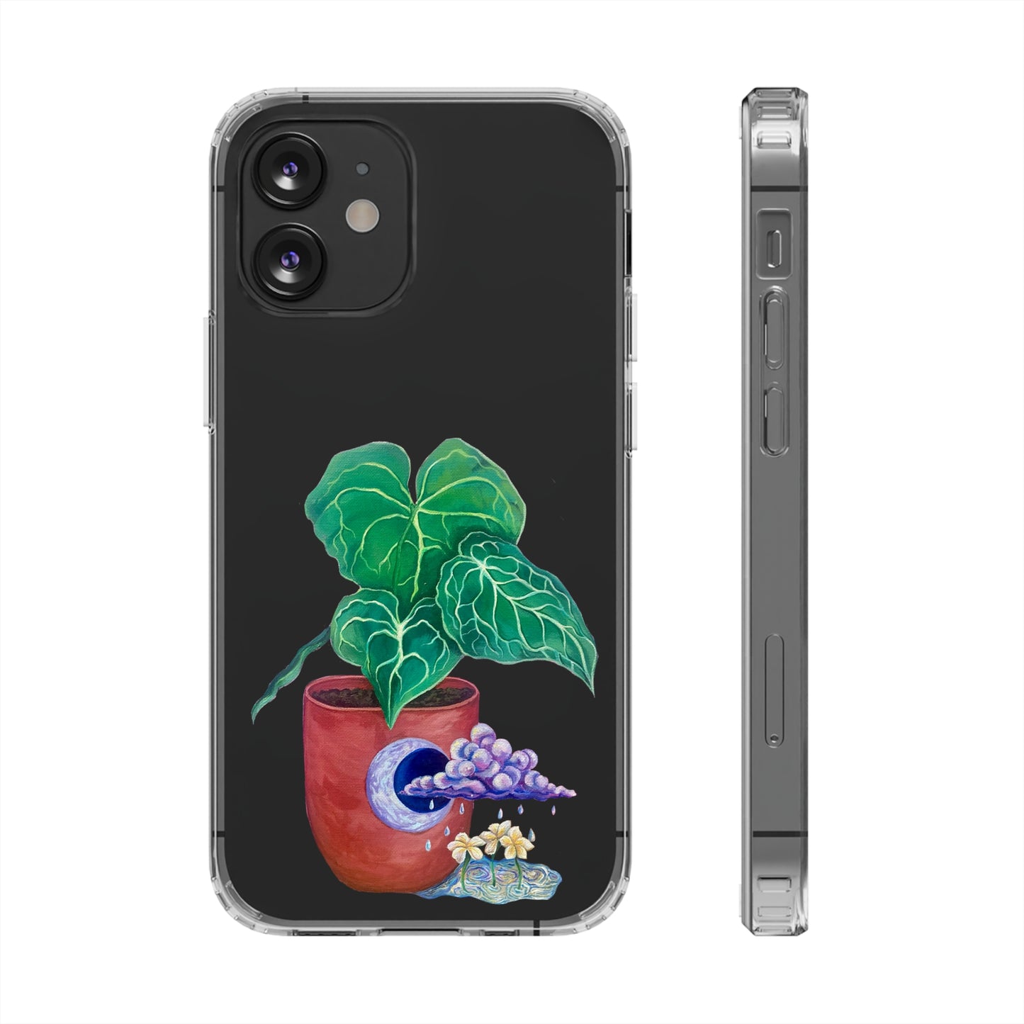 "Regresare a mi Tierra" Clear Cases