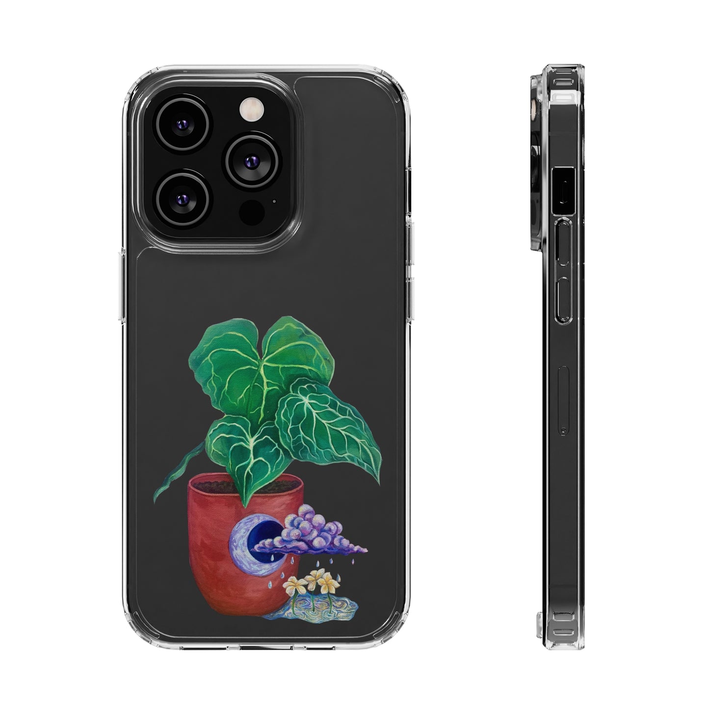 "Regresare a mi Tierra" Clear Cases