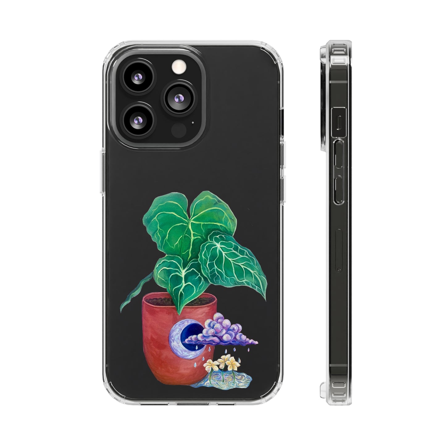 "Regresare a mi Tierra" Clear Cases