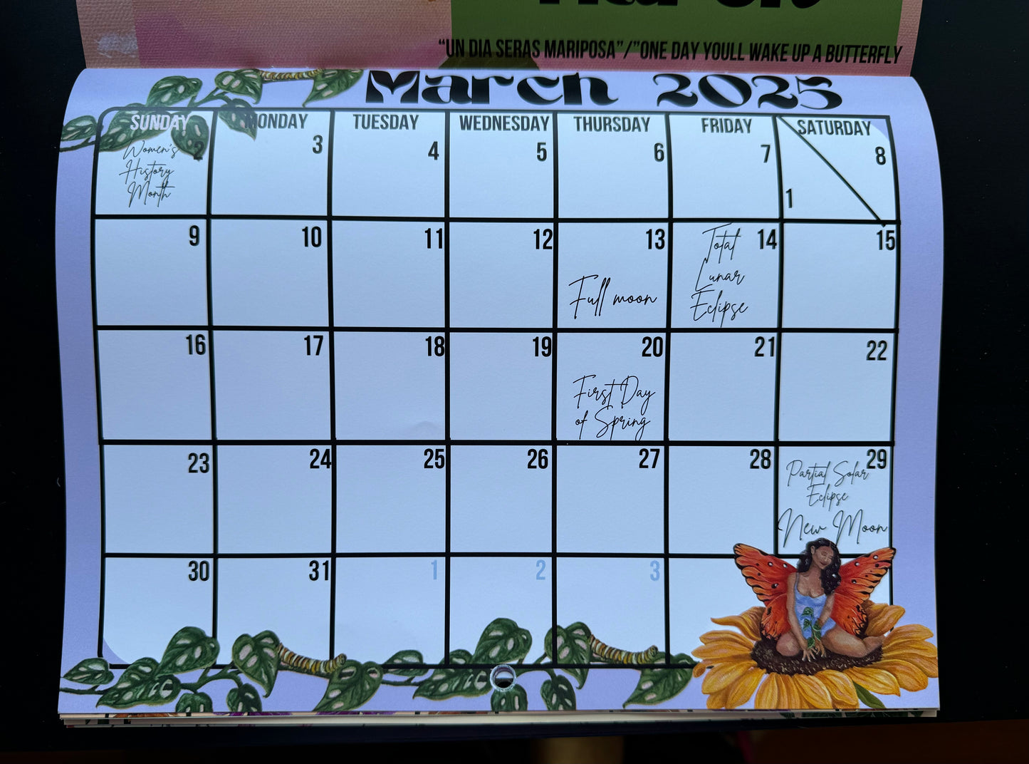 Official Arte Por Lola Wall Calendar- Journal