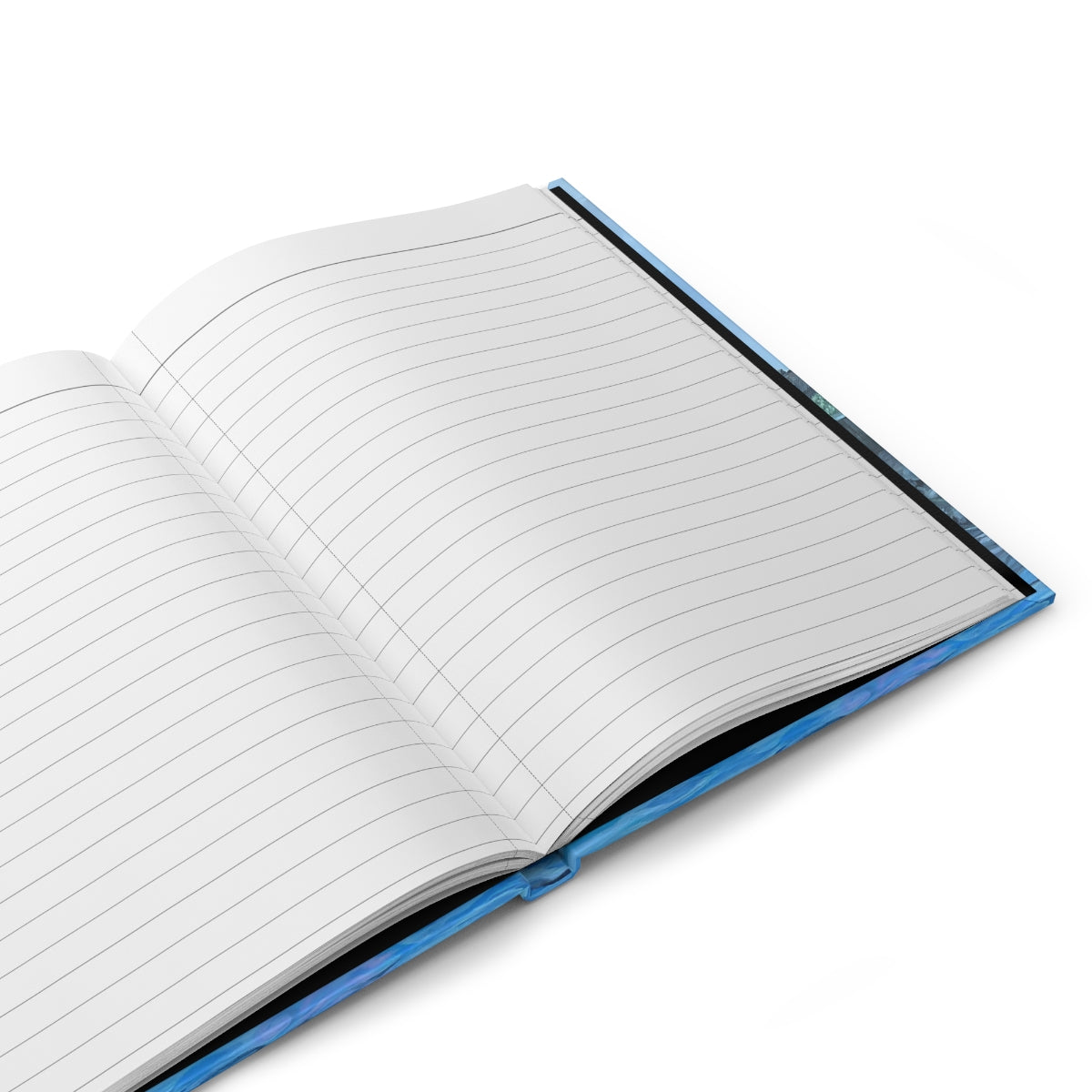 Looking For a Place to Heal- Journal