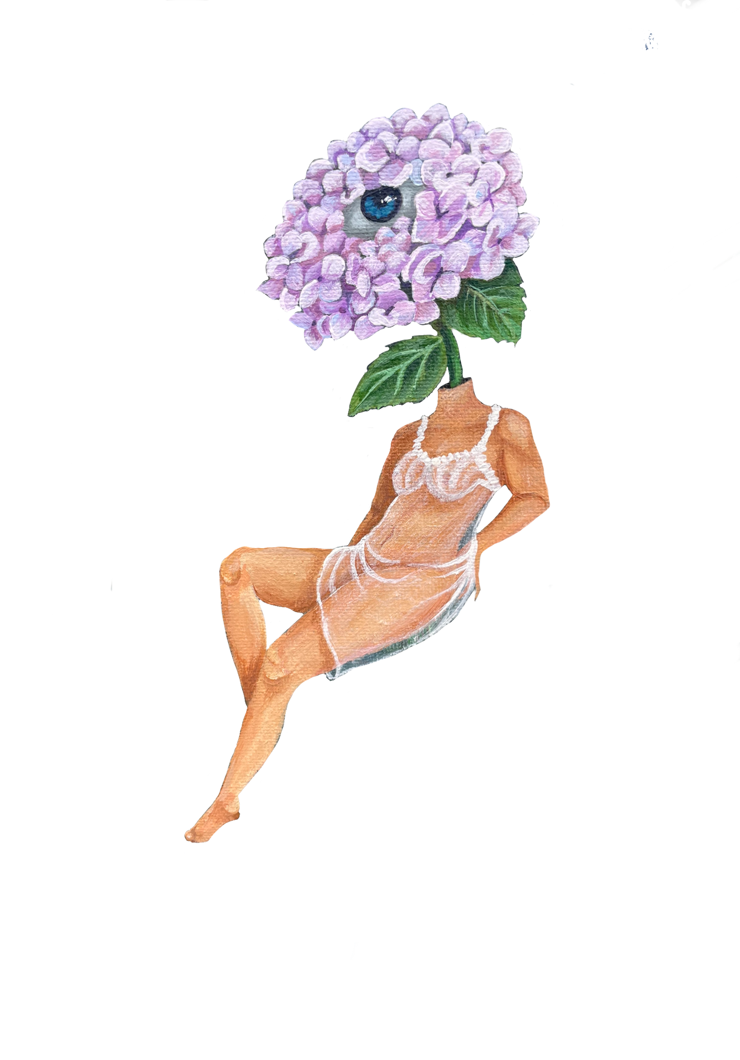 Dreamy Hydrangea