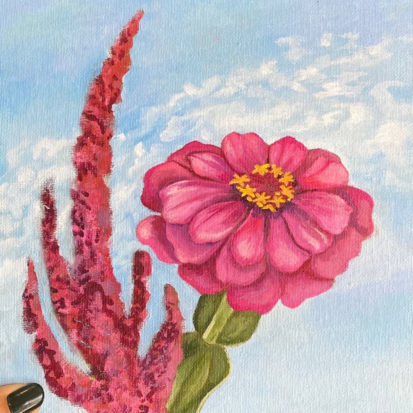 Pink Flower Study Nov 2022
