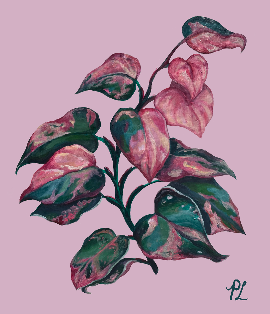 philodendron drawing Houseplant series: Pink Princess Philodendron" 2021 Fine Art Print – ArteporLola
