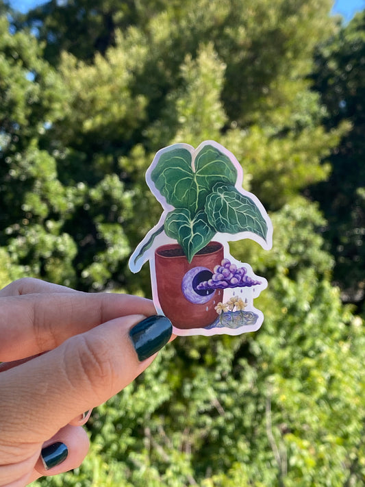 "Regresare a Mi Tierra" Holographic Sticker