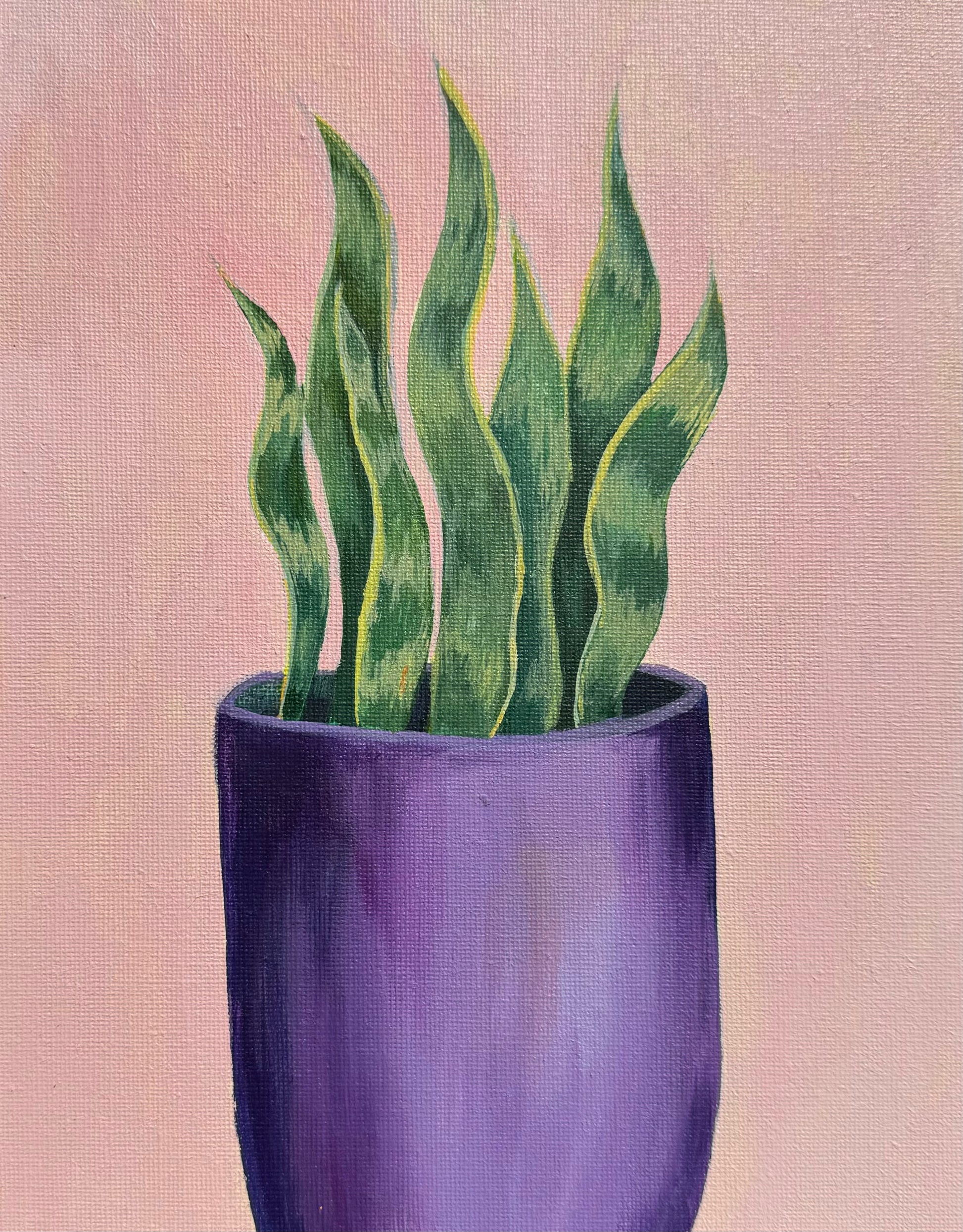 snake plant painting "Snake Plant " Acrylic Paint Study