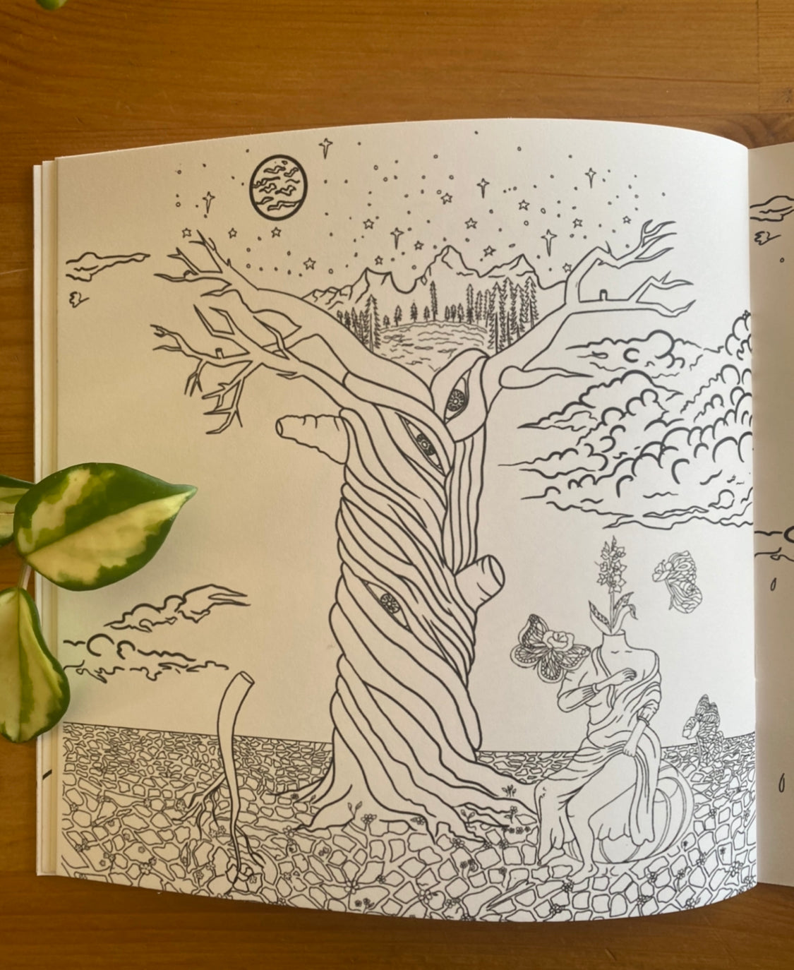 "El Jardin Eterno" The Arte Por Lola Coloring Book