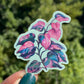Pink Princess Sticker