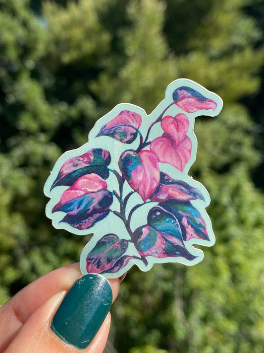 Pink Princess Sticker