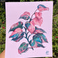 "Houseplant series: Pink Princess Philodendron" 2021 Fine Art Print