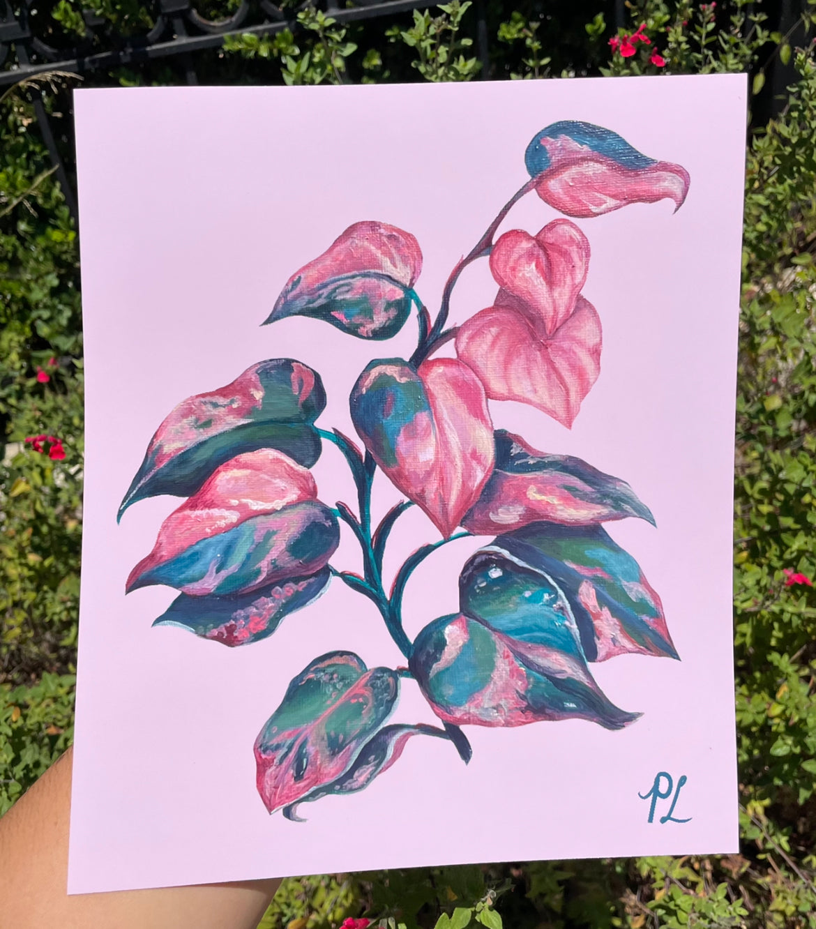 "Houseplant series: Pink Princess Philodendron" 2021 Fine Art Print